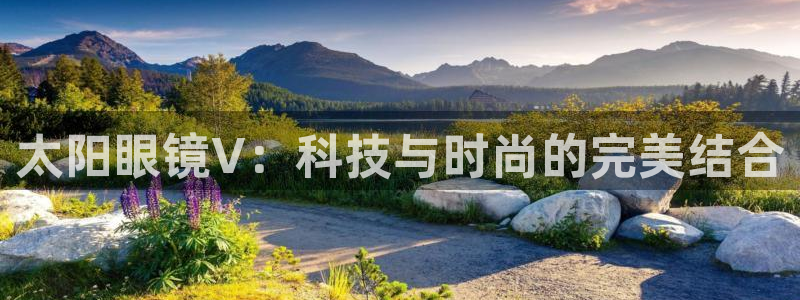 新宝股东王听2 5 5