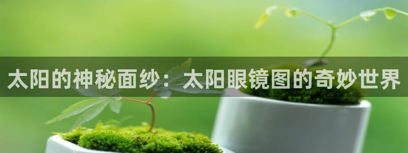 新宝5平棋牌
