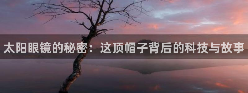新宝5网