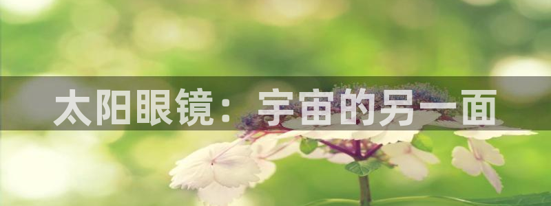 新宝5策略