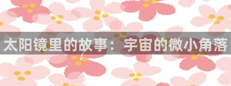 新5宝