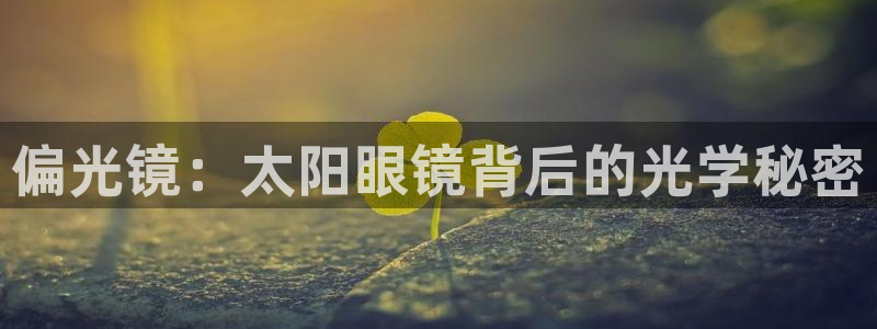 新宝5官网霸
