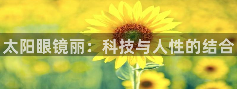新宝5官方网站