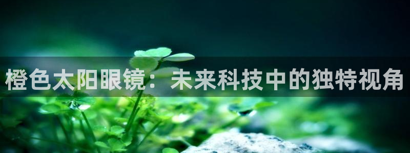 新宝5侹刔
