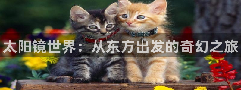 新宝5直属