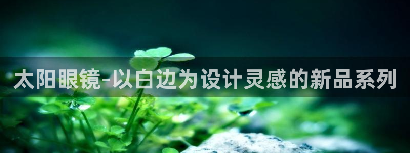 新宝5手机app