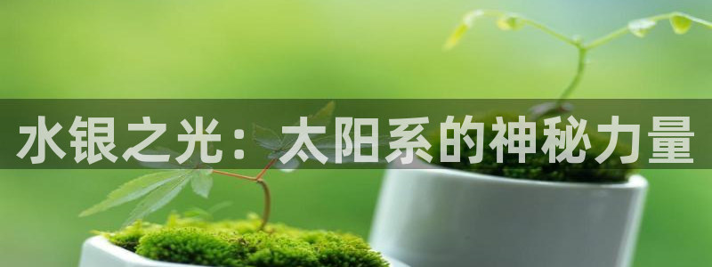 新宝5手机登陆