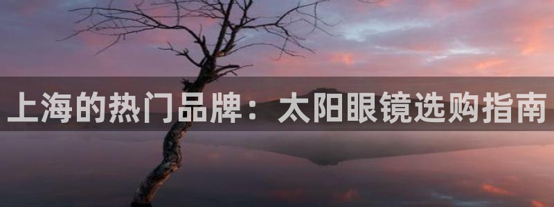 新宝5是什么样子的