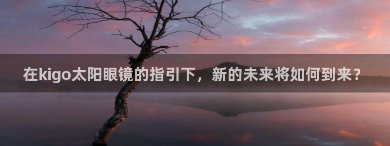 新宝股东张听2 5 5