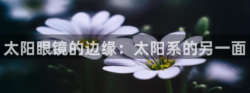 新宝5娱乐家