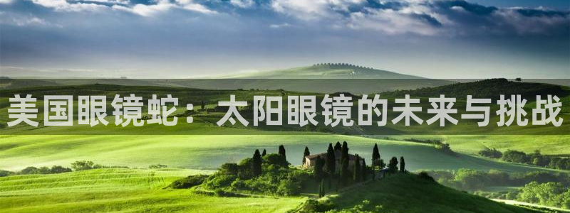 新宝5手机平台登陆