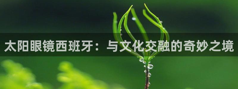 新宝xb5