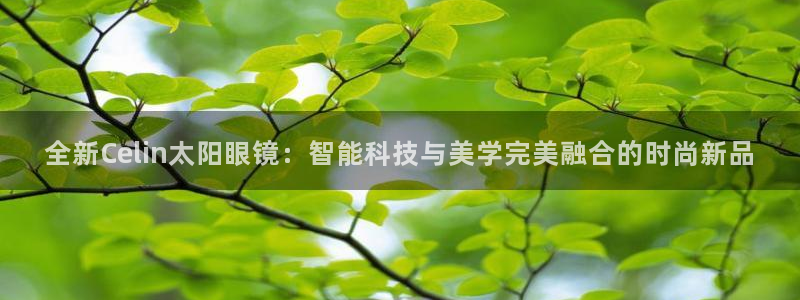 新宝5娱乐主管
