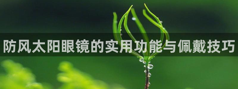 新宝那2O5O5O