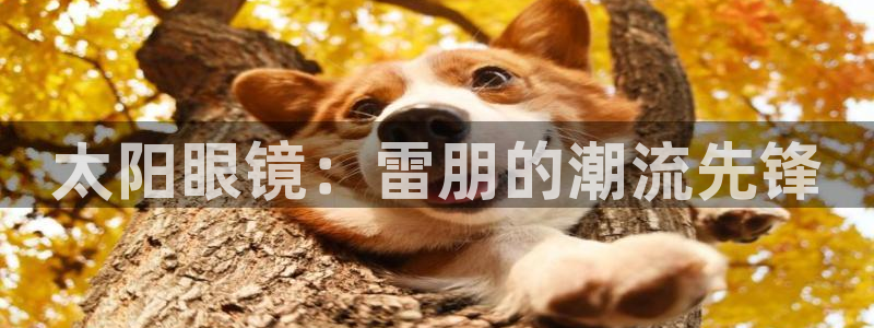 新宝5官方下载地址