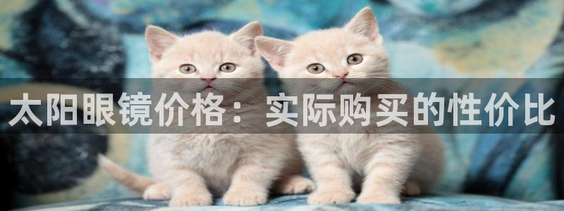 新宝股东瞧听2 5 5