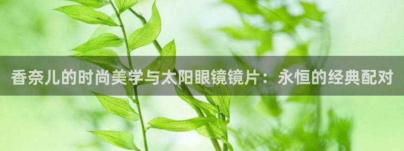 新宝5招商部
