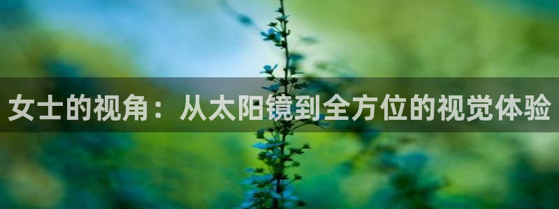 新宝5是谁的