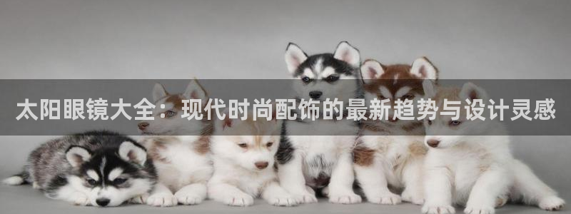 新宝5代理