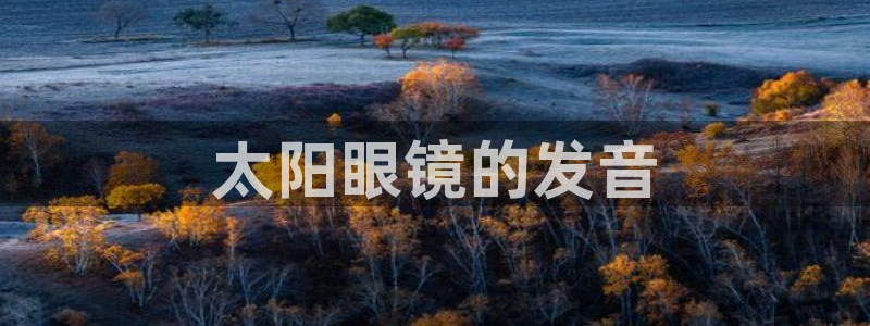 新宝5娱乐主管