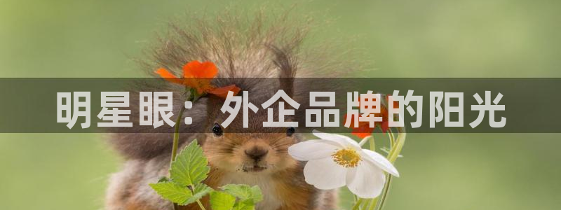 新宝娱乐5入口
