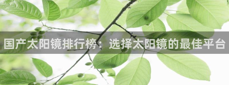 新宝5授权