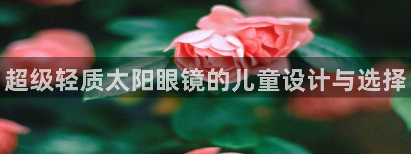 新宝5娱乐学