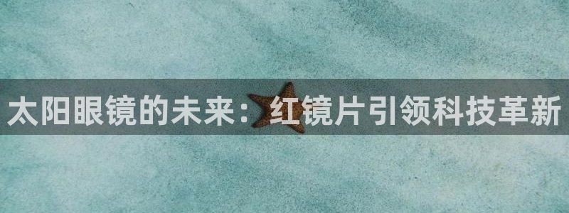 新5宝
