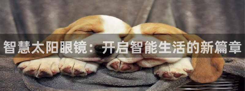 新宝5彩票娱乐平台