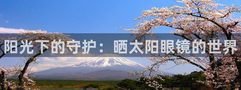 新宝5系列