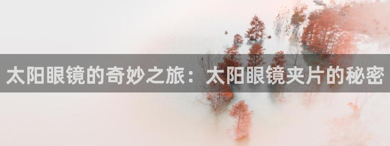 有人知道新宝5么