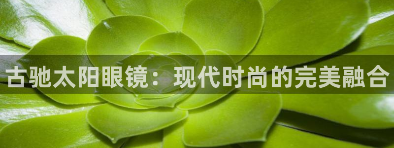 新宝5下载到桌面